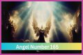 
ANGEL NUMBER 165
