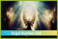 
ANGEL NUMBER 206

