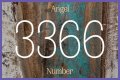 
Repeating Angel Numbers - 3's and 6's  (3366, 3636, 6633, 6363 etc)
